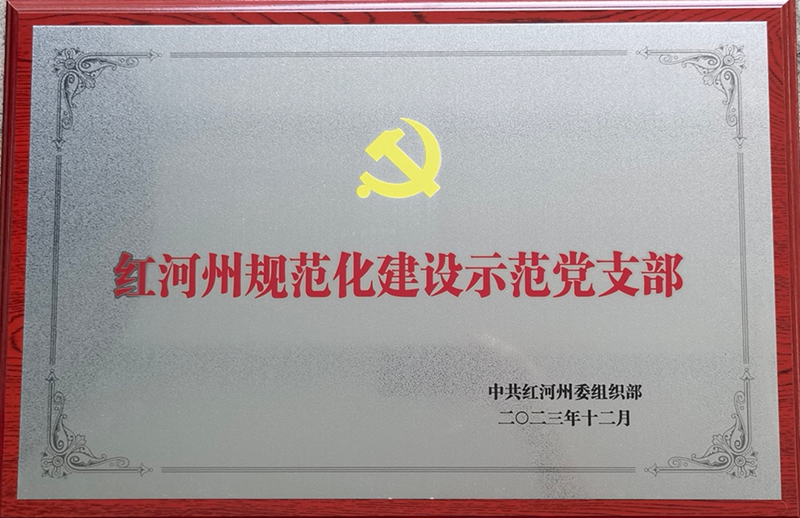 党支部荣誉3.jpg