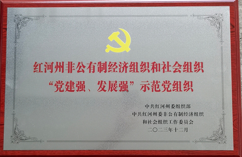 党支部荣誉1.jpg