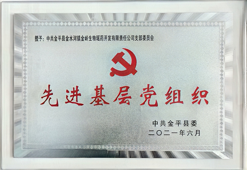 党支部荣誉2.jpg