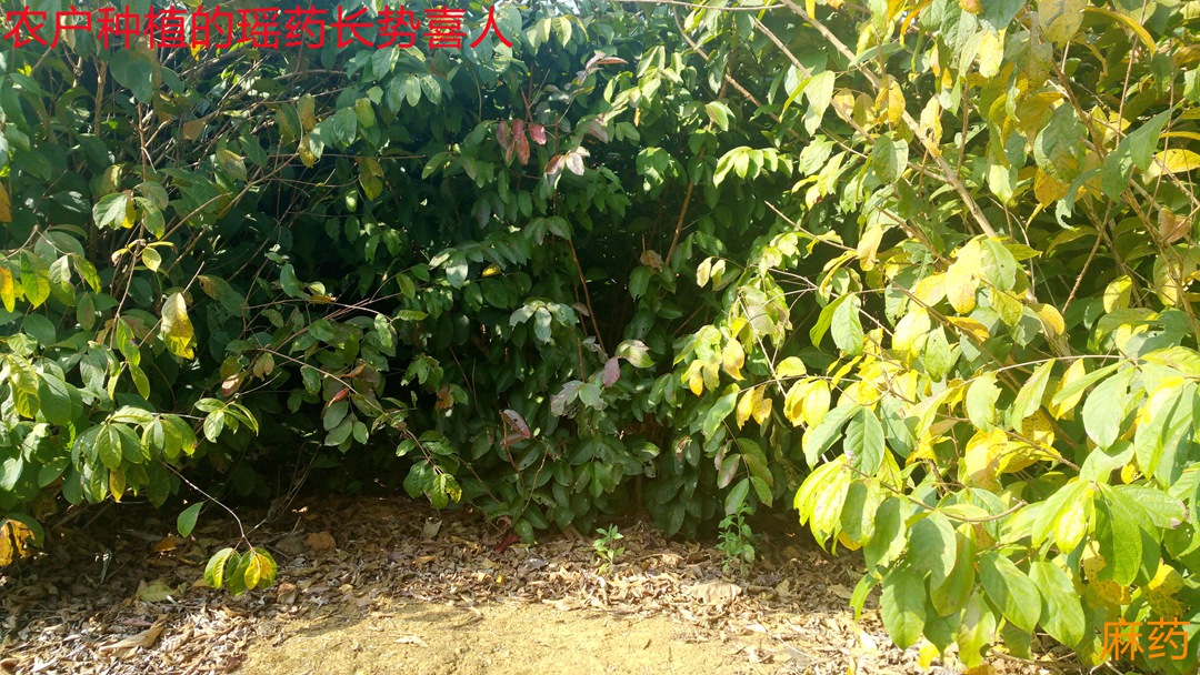微信图片_20261010095046_14_1758.jpg
